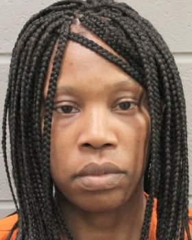 Two Arrested in Assault of a Pregnant Woman at Beechnut Street Two Arrested in Assault of a Pregnant Woman at Beechnut Street