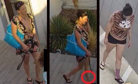 Austin Police Seek Help Identifying Woman That Uses Child as Decoy in Vehicle and Package Thefts