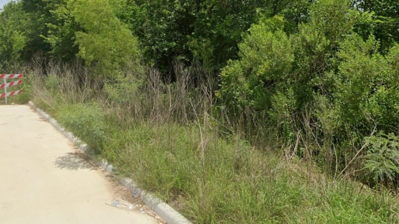 Body of 19-year-old Found in Woods at South Main Houston