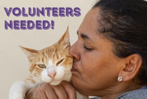 BARC Launches Tiered Volunteer Program for 2024: A New Opportunity to Save Lives at Houston’s Animal Shelter