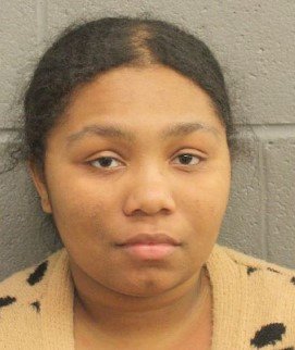 Harris County Constable Deputies Arrest Woman for False Reporting in Hit-and-Run Case Harris County Constable Deputies Arrest Woman for False Reporting in Hit-and-Run Case