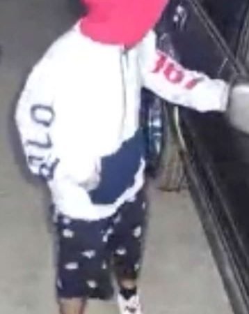 Austin Homeowner Confronts Armed Suspect in Vehicle Break-In