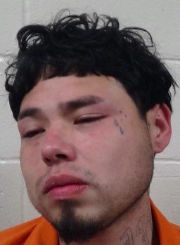 Brownsville Man Arrested on Multiple Charges Following Assault on Mother