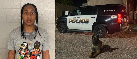 Humble Police Respond to Gunfire, Apprehend Suspect After Foot Chase Humble Police Respond to Gunfire, Apprehend Suspect After Foot Chase