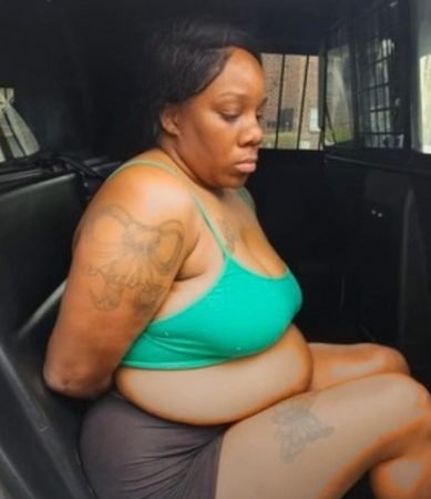 Deputies Apprehend Woman for Theft from Grieving Mother at Cemetery