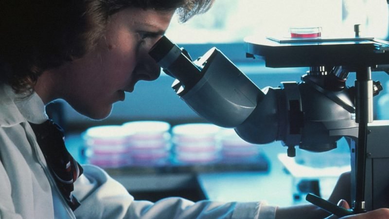 Study Finds Open Surgery Offers Better Outcomes for Early-Stage Cervical Cancer Patients