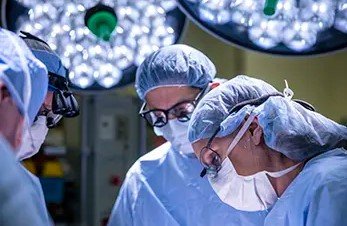 Baylor University Medical Center Publishes Results of Pioneering Uterus Transplant Study Baylor University Medical Center Publishes Results of Pioneering Uterus Transplant Study