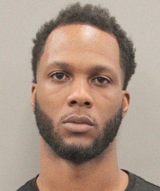 Man Sentenced to Three Years in Prison for Throwing Dogs From Apartment Landing