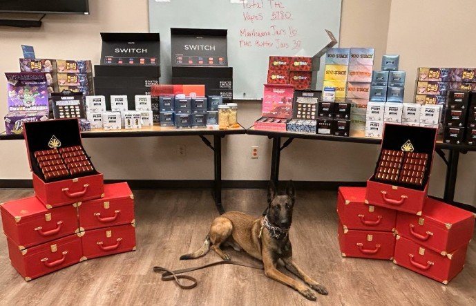 DPS Seizes Over 30 Pounds of THC and Marijuana in Oldham County Traffic Stop