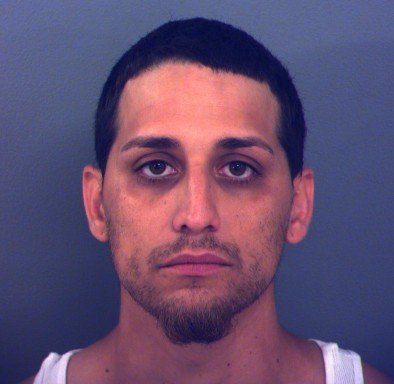 El Paso Man Arrested After Filming Himself Shooting Dog with Gel Blaster
