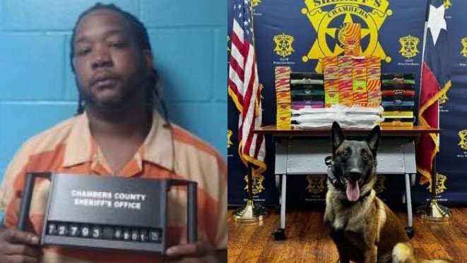 Traffic Stop on I-10 Leads to Seizure of Cocaine and THC Products Hidden in Van Walls