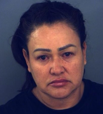 Owner of Pit Bulls Arrested After Vicious Dog Attack in El Paso County