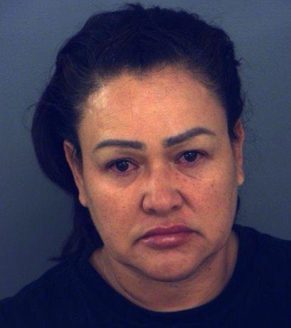 Owner of Pit Bulls Arrested After Vicious Dog Attack in El Paso County