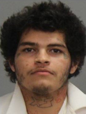 Man Pleads Receives Life Sentences for Killing Two Family Members in College Station