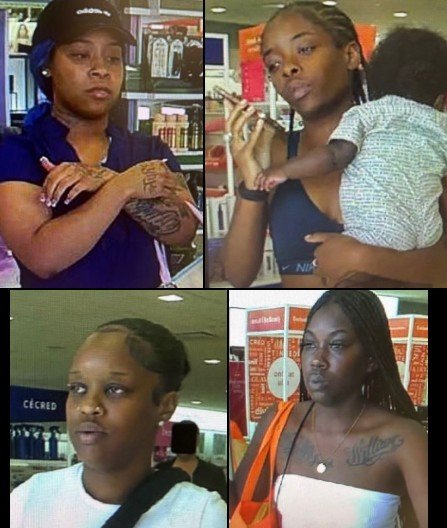 Deputies identify theft ring accused of stealing $38,000 from Houston-area Ulta stores