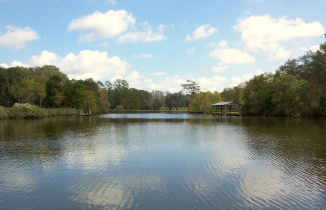 Good Samaritan Rescues Driver and Infant from Submerged Vehicle in Dickinson Bayou