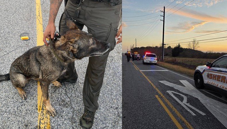 Harris County K-9 Injured After Suspect Attempts to Drown Dog During Pursuit