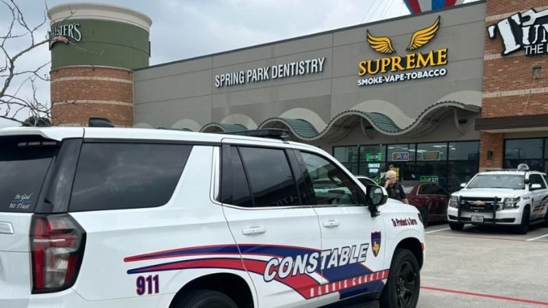 Teen with Prior Robbery Arrests Taken Into Custody After Car Break-Ins in Spring