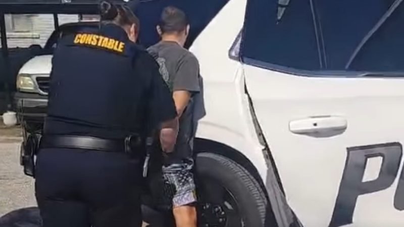 Baytown Man Charged With Felony Animal Cruelty After Puppy Found Injured in Dumpster