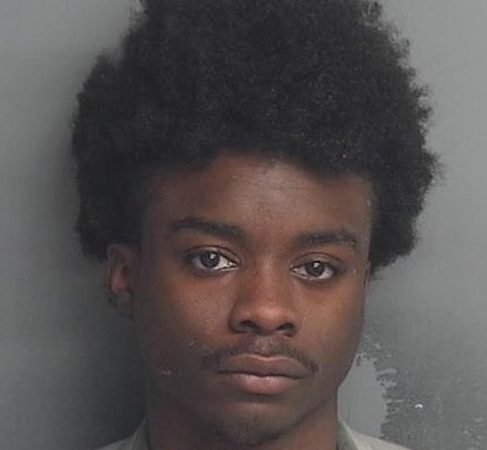 Deputy Nearly Struck as Driver Flees Traffic Stop, Leads Police on 100-MPH Chase Into Houston