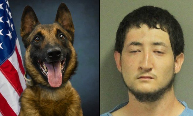 Rosenberg Suspect Leads Police on Multi-County Chase Before K9 Takedown, He Dared Them to Get Him