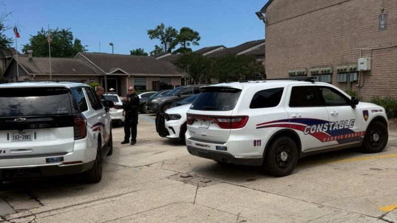 Service Dog Shot Protecting Owner During Violent Dog Attack in North Houston