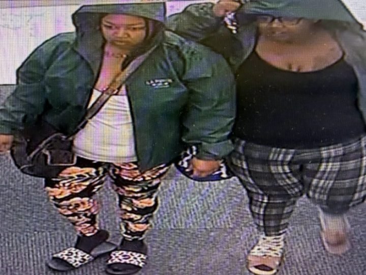 La Porte Police Seek Help Identifying Suspects in CVS Theft, Two Women with Small Children Involved