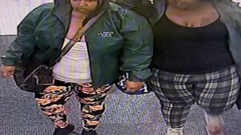 La Porte Police Seek Help Identifying Suspects in CVS Theft, Two Women with Small Children Involved