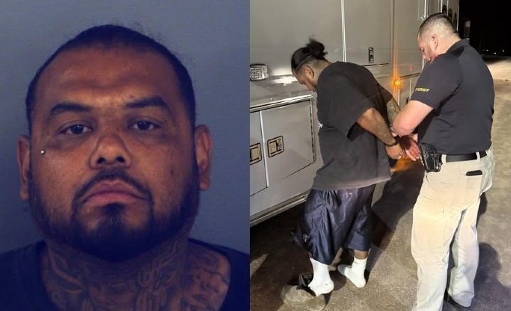 El Paso Man Facing 20 Animal Cruelty Charges After 35 Neglected Animals Rescued from Home