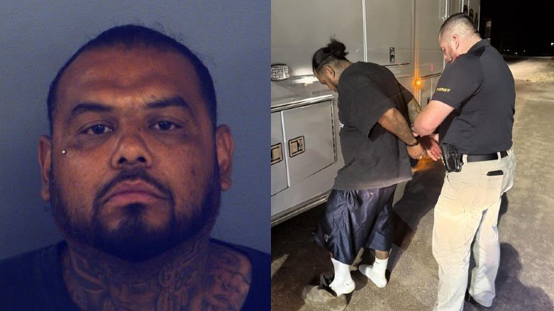 El Paso Man Facing 20 Animal Cruelty Charges After 35 Neglected Animals Rescued from Home