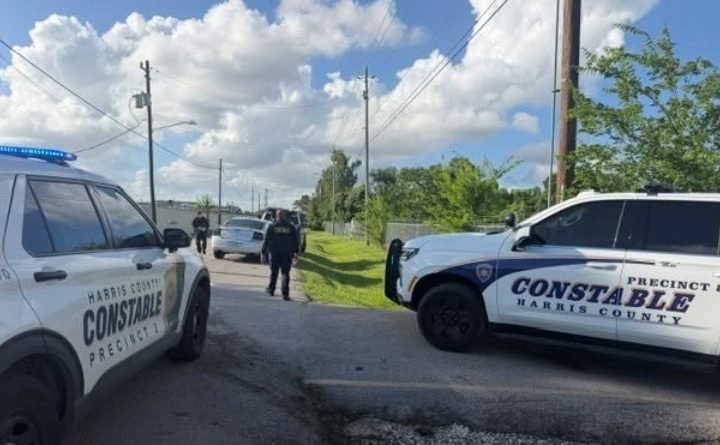 K-9 Helps Capture Juvenile Driver After Chase Through Southeast Harris County
