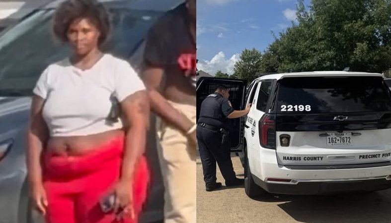 Cypress Woman Arrested on Aggravated Assault Charges Following Street Fight Investigation