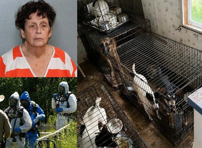 Woman Arrested After 14 Dogs Rescued From Hazardous Conditions in Madison County Home