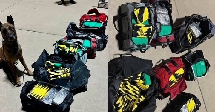 Nearly 120 Kilos of Cocaine Worth $4 Million Found During El Paso Tractor-Trailer Drug Bust