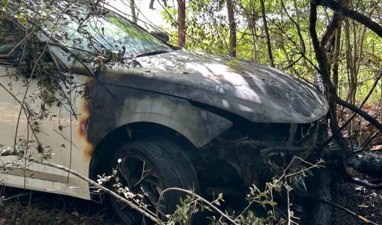 Good Samaritan, Beaumont Police Officer Rescue Child and Driver From Burning Vehicle