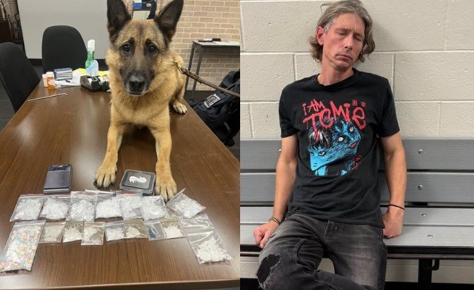 K-9 Traffic Stop in Houston Leads to Drug Seizure, $1.2 Million Bond for Driver