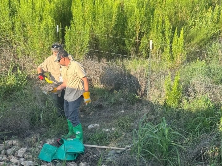 Texas DPS Recovers Buried Radioactive Cesium Source During Routine Patrol in Midland County