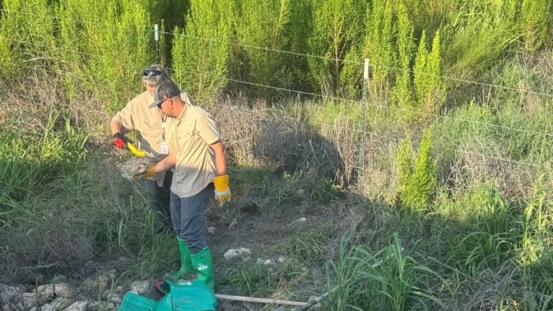 Texas DPS Recovers Buried Radioactive Cesium Source During Routine Patrol in Midland County