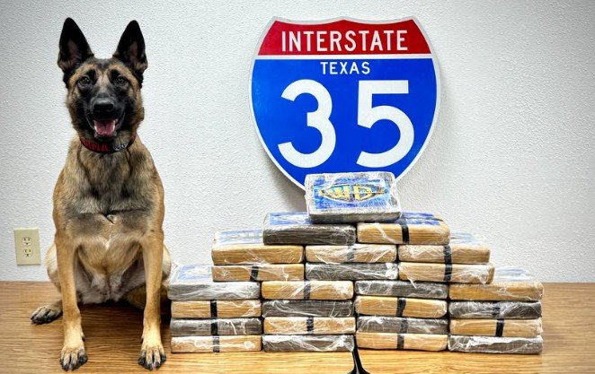 K9-Karma and 60 lbs of cocaine 
