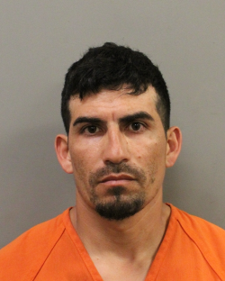 Almeda Genoa Road Fatal Shooting Leads to Capital Murder Charges, One Arrest
