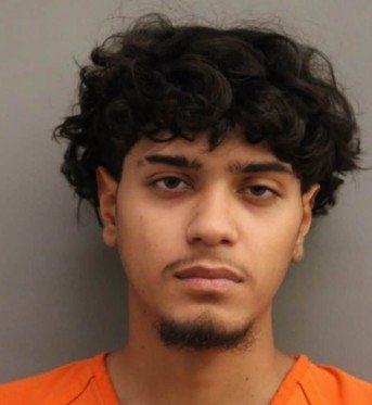 Harris County Teen Arrested After Woman Stabbed, Two Dogs Found Shot to Death in Apartment